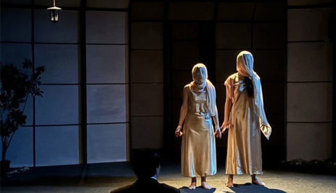 La Gaviota: Un Melodrama del Fracaso que No Te Puedes Perder