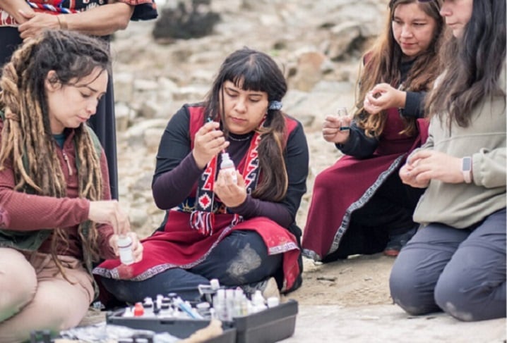 Mujeres Diaguitas de Atacama: defensoras del agua en peligro