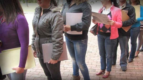 Desempleo Juvenil: Brechas y Desafíos en el Mercado Laboral Chileno
