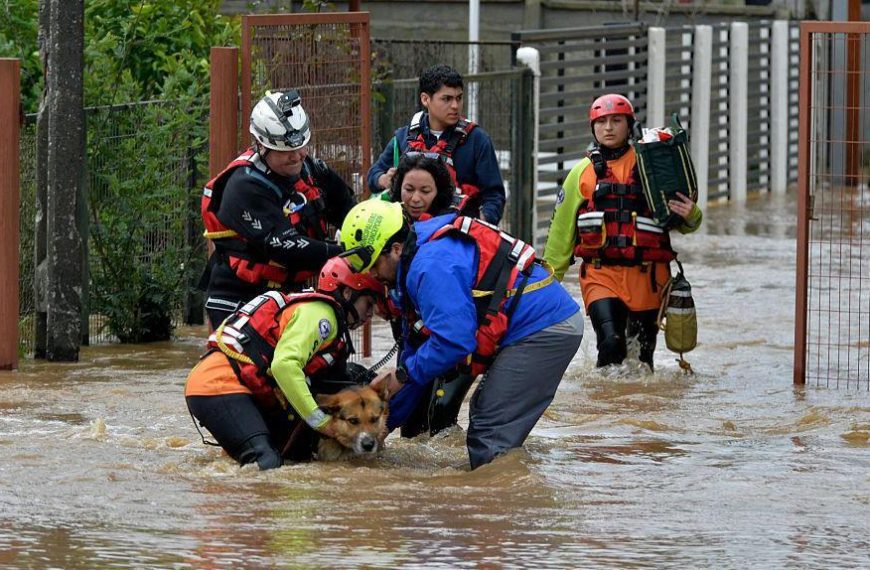 El Niño: ¿Cuáles son las consecuencias inmediatas del fenómeno climático?